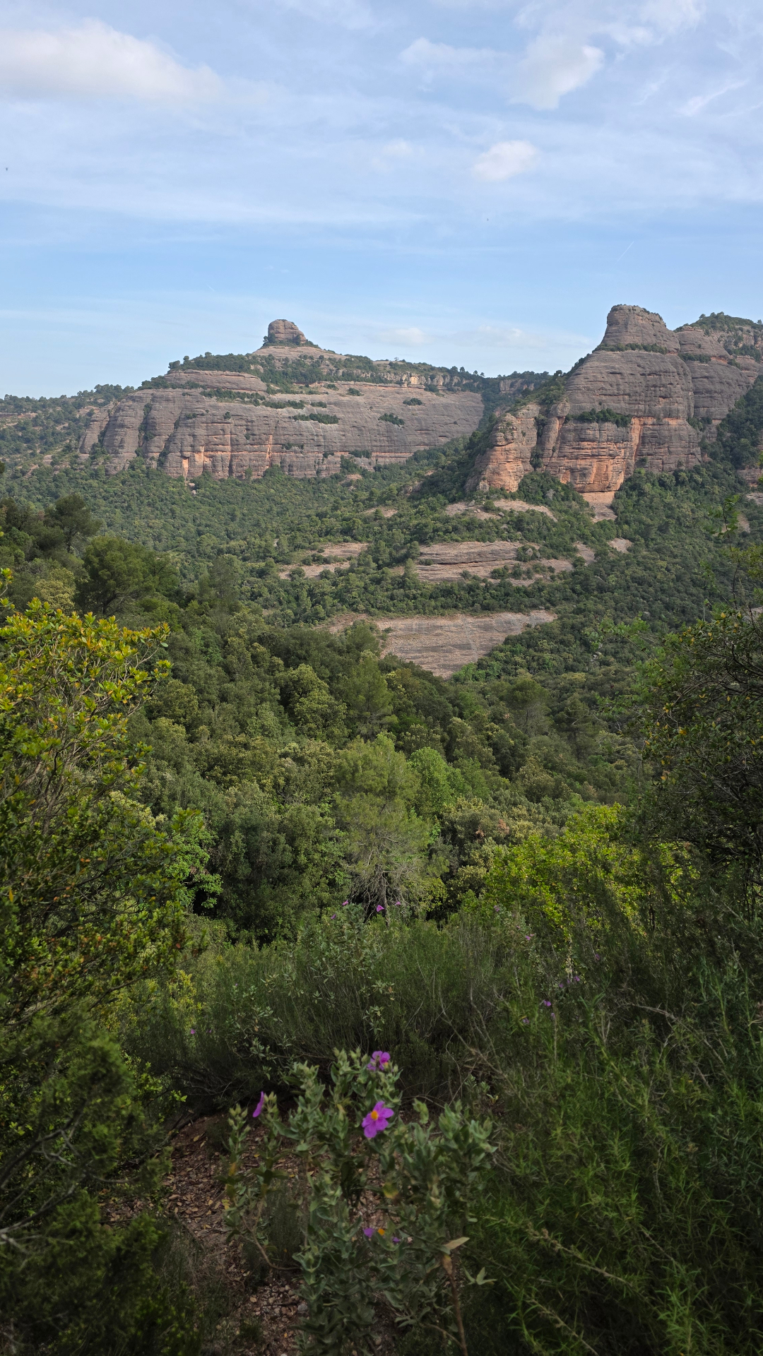 Trail photo 2
