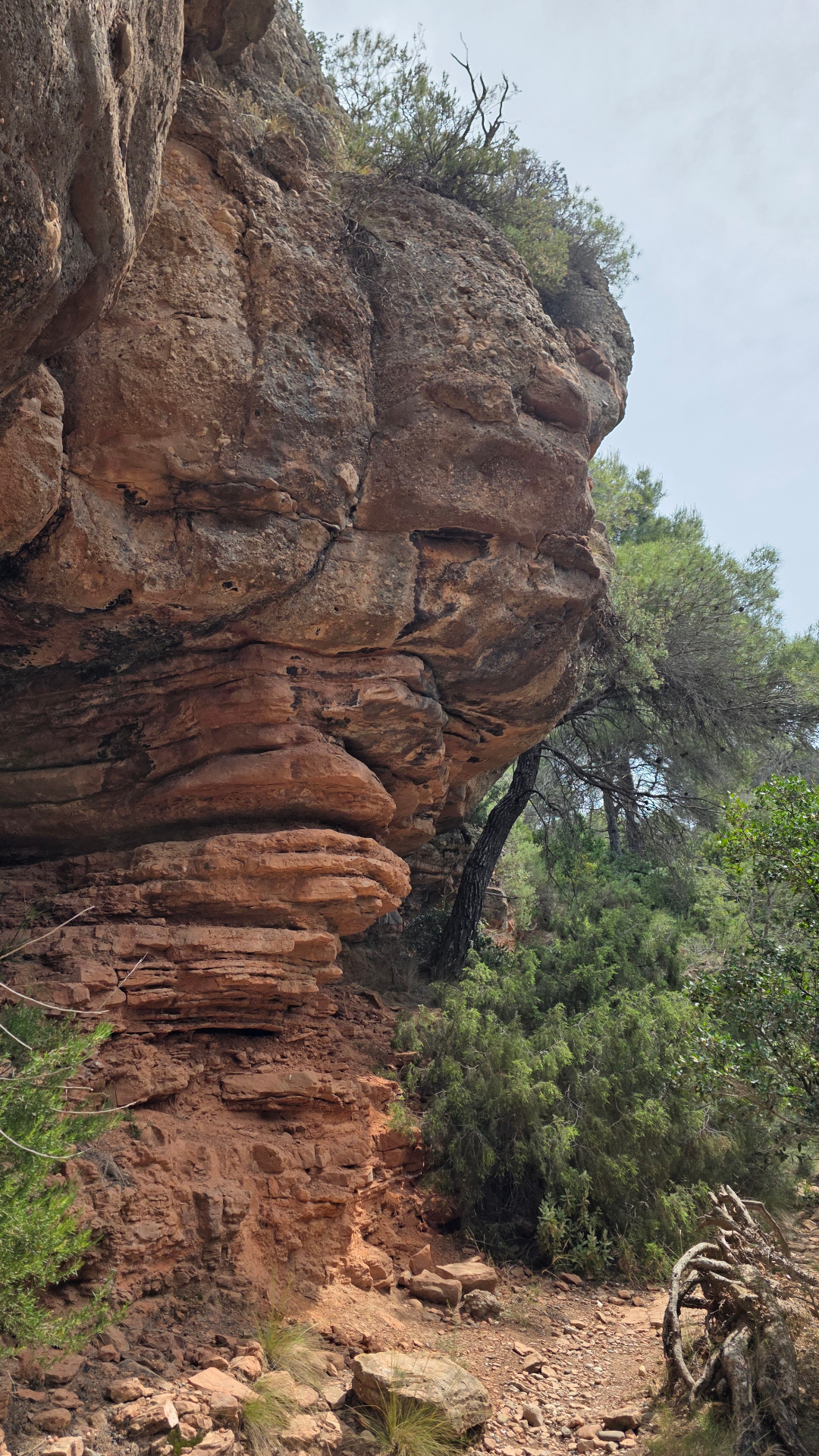 Trail photo 7