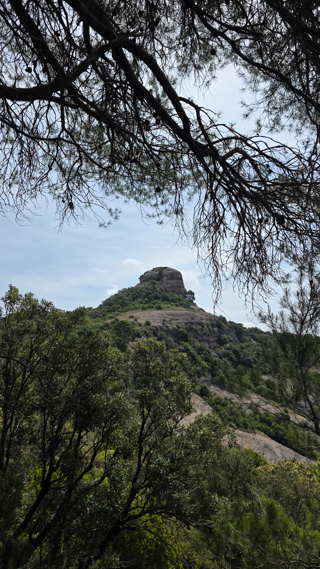 Trail photo 9