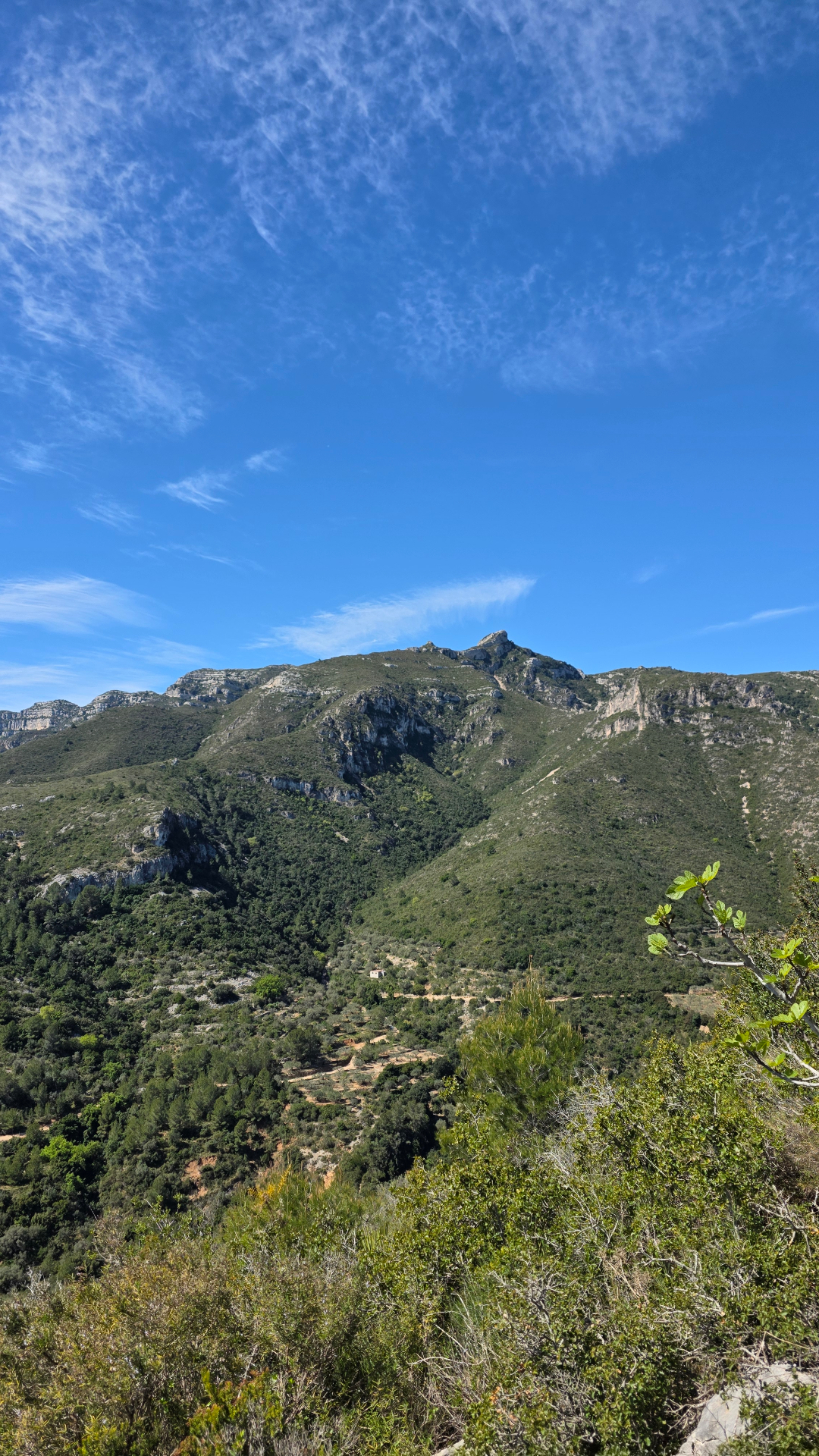 Trail photo 1