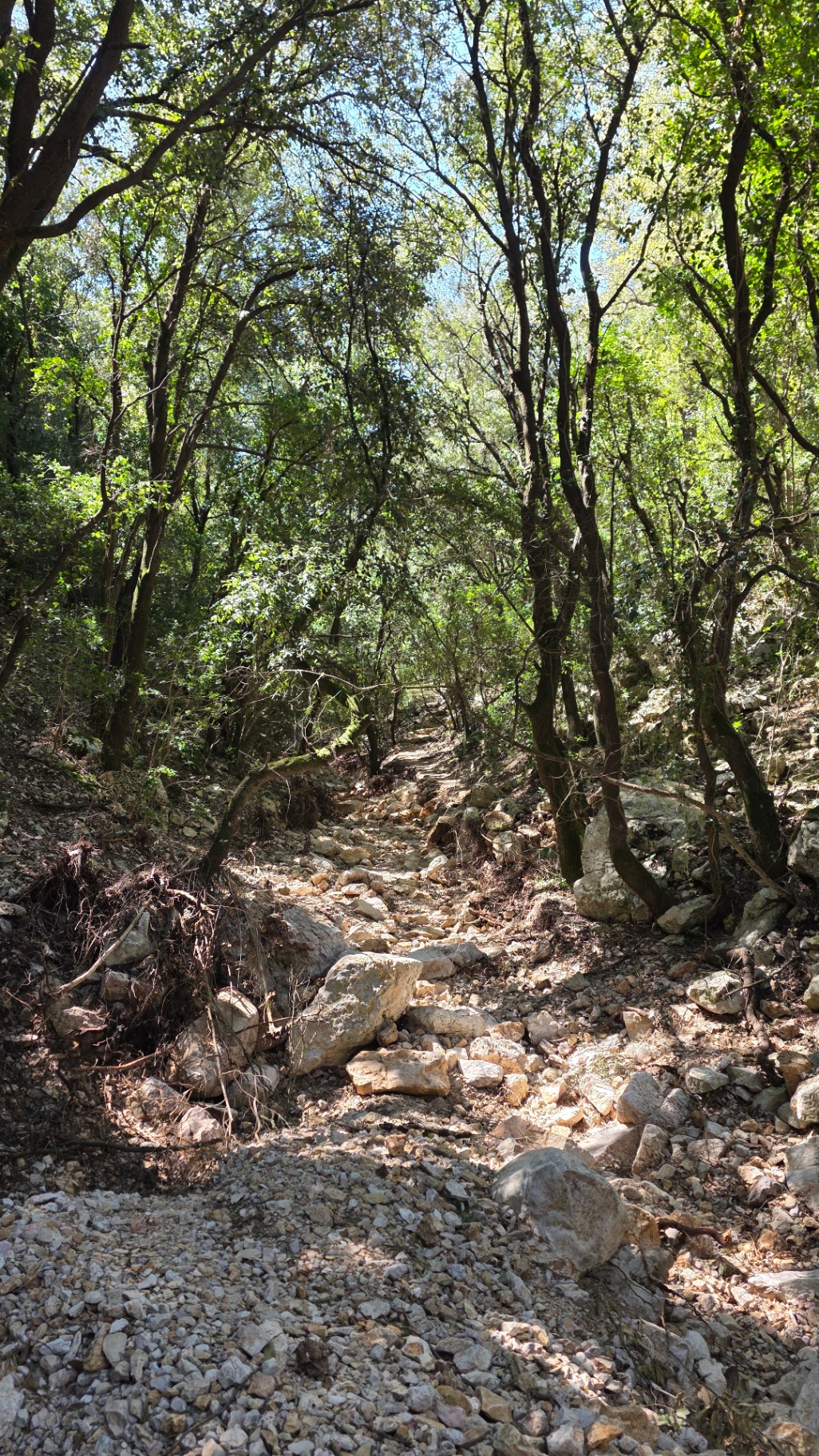 Trail photo 5