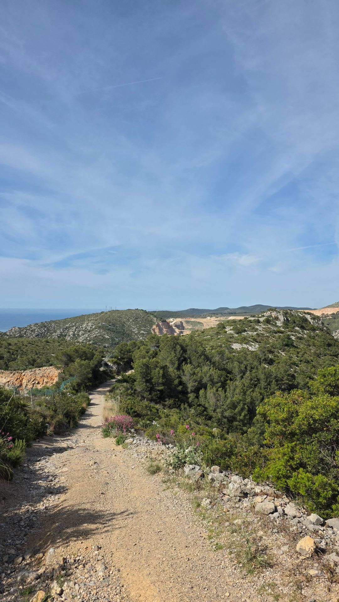 Trail photo 4