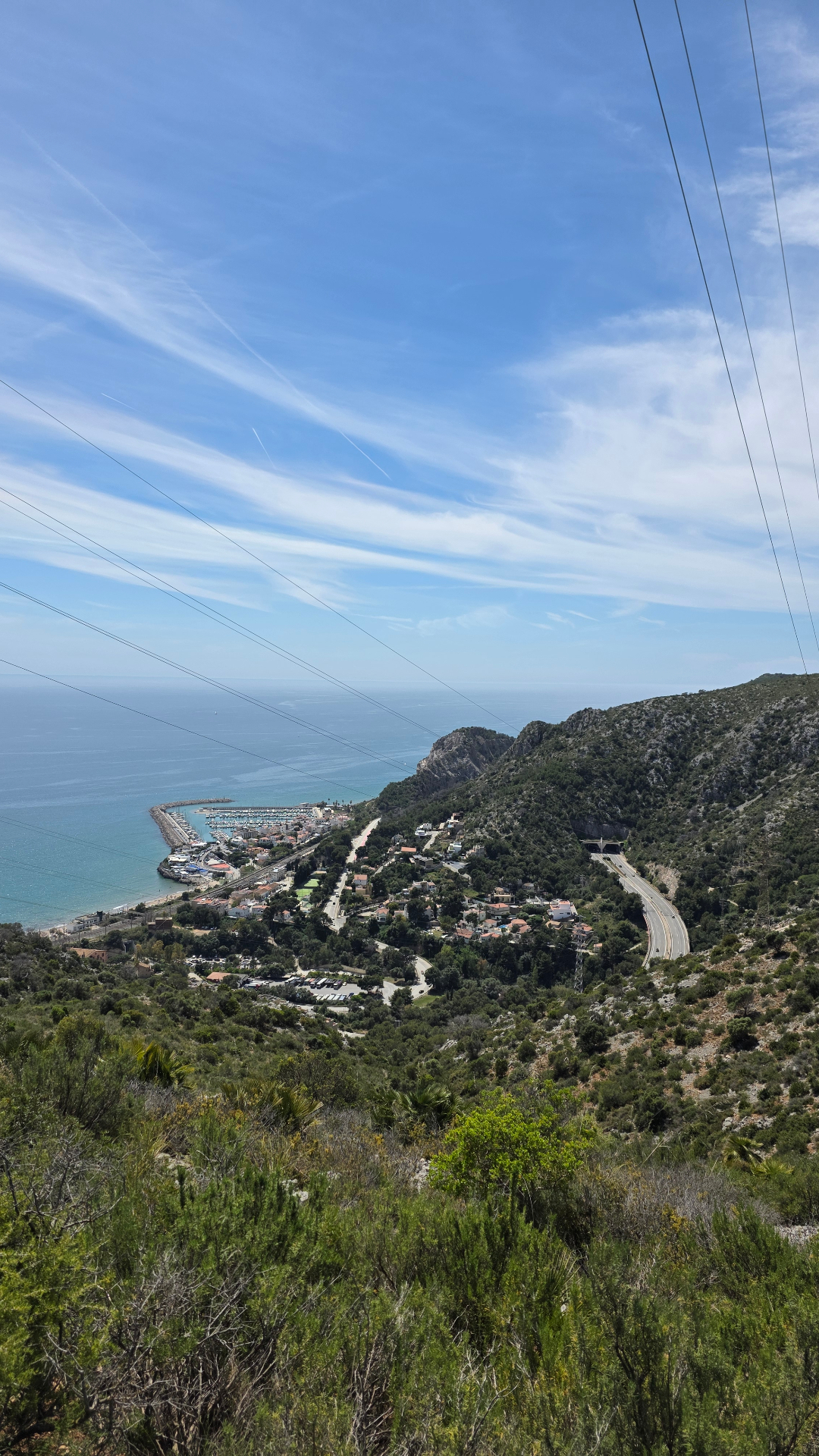 Trail photo 7