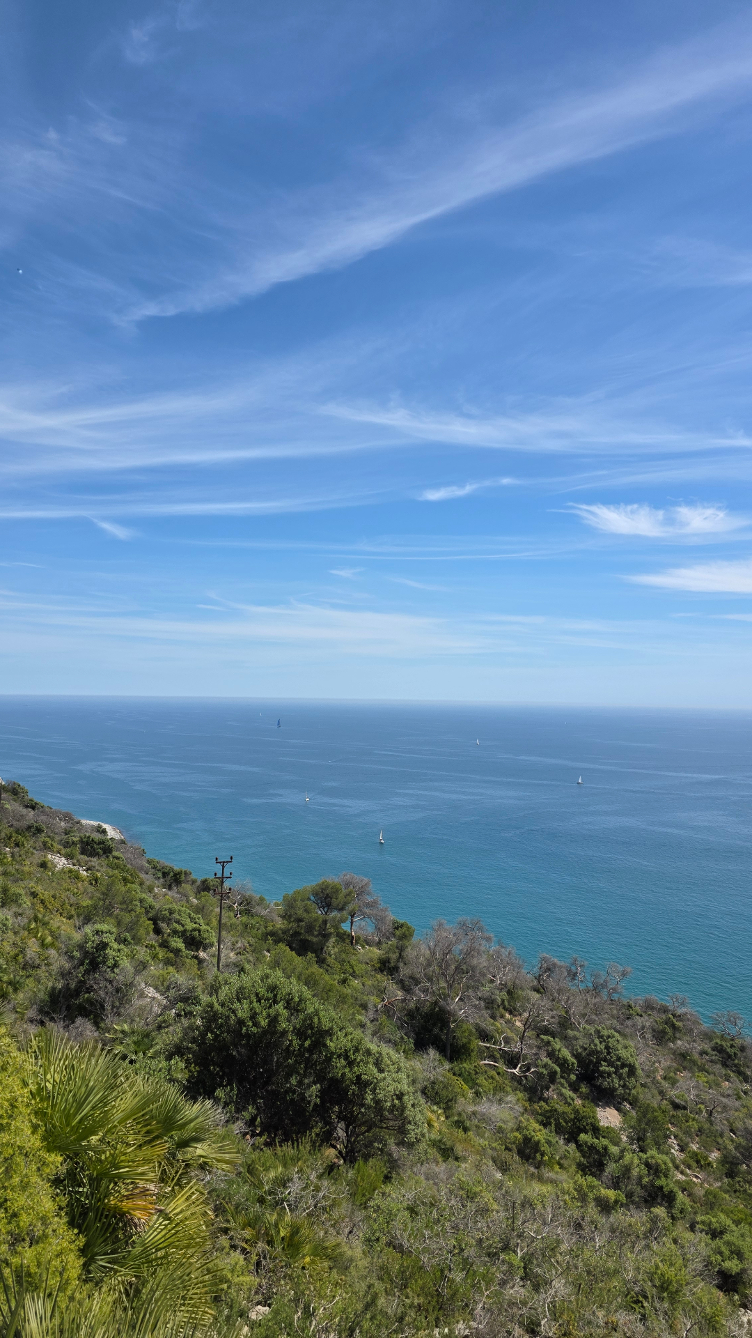 Trail photo 8